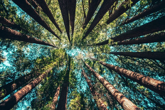 connection with nature